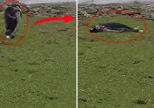 İsrail baskın d&uuml;zenleyip sivilleri vurdu: Ne İran ne L&uuml;bnan!