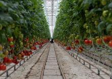 Bakan Yumaklı duyurdu: Ekonomiye 750 milyon liralık katkı: Bin kişilik istihdam m&uuml;jdesi