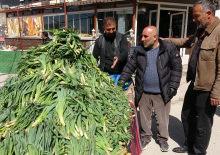 Doğada kendiliğinden yetişiyor! Kilogramı 100 TL 