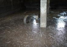 Siirt'te sağanak 35 can aldı