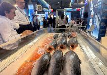 Afrika sahillerinde T&uuml;rk filosu! 4 bin 500 gemiyle rekora koşuyoruz