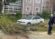 İstanbul'da fırtına alarmı! Otomobilin &uuml;st&uuml;ne ağa&ccedil; devrildi