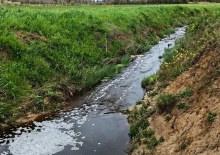 Sinop&rsquo;ta &ccedil;evreyi kirleten tesise 1.6 milyon TL ceza