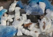 İzmir'de 33 kedinin &ouml;l&uuml; bulunması ile ilgili g&ouml;zaltına alınan veteriner adliyede