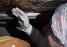 Fırında mide bulandıran g&ouml;r&uuml;nt&uuml;ler! Zabıta bile şoke oldu