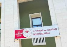 Kedinin ısırdığı 4 yaşındaki &ccedil;ocuk ent&uuml;be edildi! Kuduz testi pozitif &ccedil;ıktı