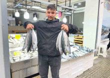 Sinop'ta palamut bereketi! Tezgahlarda fiyatı 50 liraya kadar geriledi