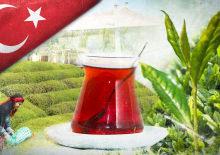 İhracatın y&uuml;zde 37'sini tek başına sırtladı: D&uuml;nyanın &ccedil;ayını Rize demliyor