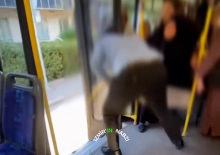 İzmir'de halı krizi! Otob&uuml;s şof&ouml;r&uuml; halıyı dışarı attı, ortalık karıştı!